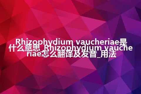 Rhizophydium vaucheriae是什么意思_Rhizophydium vaucheriae怎么翻译及发音_用法