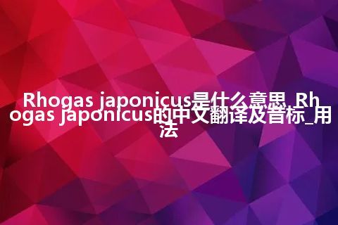 Rhogas japonicus是什么意思_Rhogas japonicus的中文翻译及音标_用法