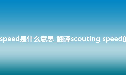 scouting speed是什么意思_翻译scouting speed的意思_用法