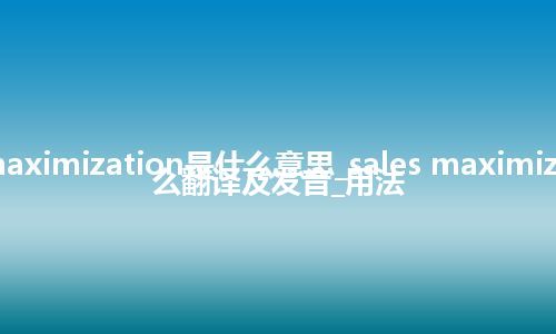 sales maximization是什么意思_sales maximization怎么翻译及发音_用法