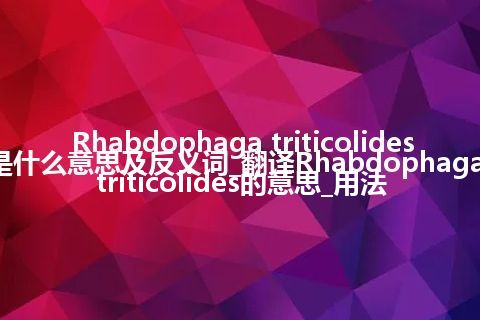Rhabdophaga triticolides是什么意思及反义词_翻译Rhabdophaga triticolides的意思_用法