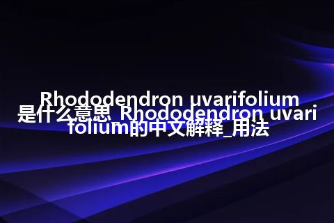 Rhododendron uvarifolium是什么意思_Rhododendron uvarifolium的中文解释_用法
