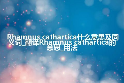 Rhamnus cathartica什么意思及同义词_翻译Rhamnus cathartica的意思_用法