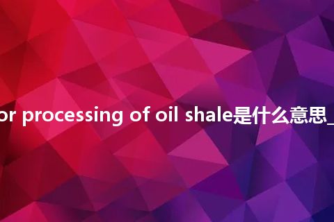 retort for processing of oil shale是什么意思_中文意思