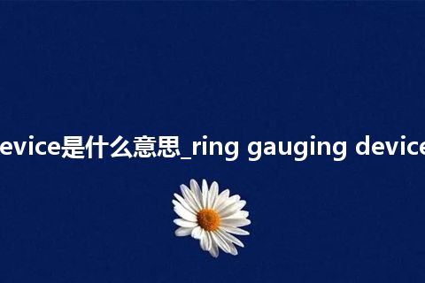 ring gauging device是什么意思_ring gauging device的中文释义_用法