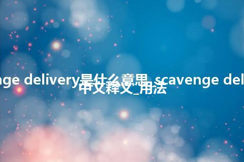 scavenge delivery是什么意思_scavenge delivery的中文释义_用法