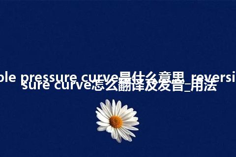 reversible pressure curve是什么意思_reversible pressure curve怎么翻译及发音_用法