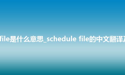 schedule file是什么意思_schedule file的中文翻译及音标_用法
