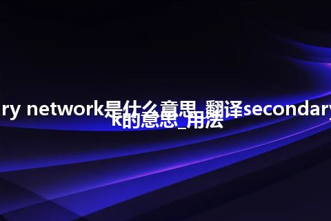 secondary network是什么意思_翻译secondary network的意思_用法