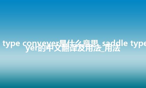 saddle type conveyer是什么意思_saddle type conveyer的中文翻译及用法_用法