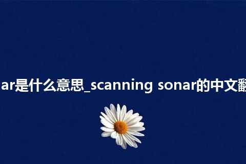 scanning sonar是什么意思_scanning sonar的中文翻译及音标_用法