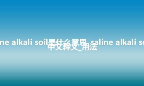saline alkali soil是什么意思_saline alkali soil的中文释义_用法