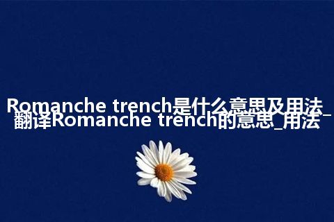 Romanche trench是什么意思及用法_翻译Romanche trench的意思_用法