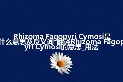 Rhizoma Fagopyri Cymosi是什么意思及反义词_翻译Rhizoma Fagopyri Cymosi的意思_用法
