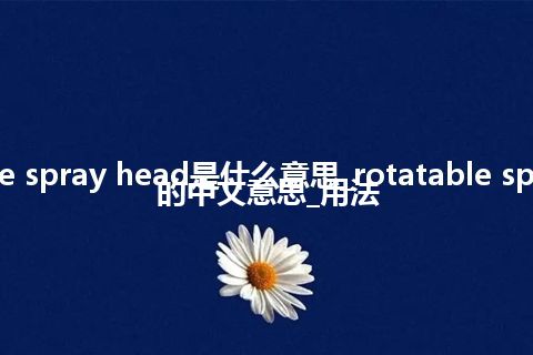 rotatable spray head是什么意思_rotatable spray head的中文意思_用法