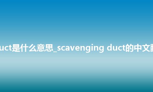 scavenging duct是什么意思_scavenging duct的中文翻译及音标_用法