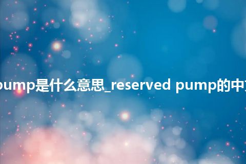 reserved pump是什么意思_reserved pump的中文解释_用法