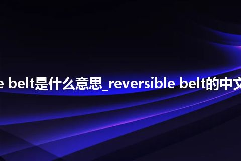reversible belt是什么意思_reversible belt的中文意思_用法