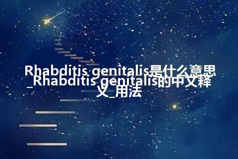 Rhabditis genitalis是什么意思_Rhabditis genitalis的中文释义_用法