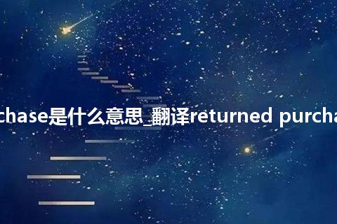 returned purchase是什么意思_翻译returned purchase的意思_用法