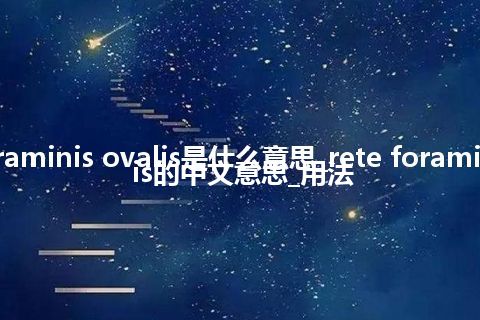 rete foraminis ovalis是什么意思_rete foraminis ovalis的中文意思_用法