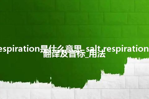 salt respiration是什么意思_salt respiration的中文翻译及音标_用法