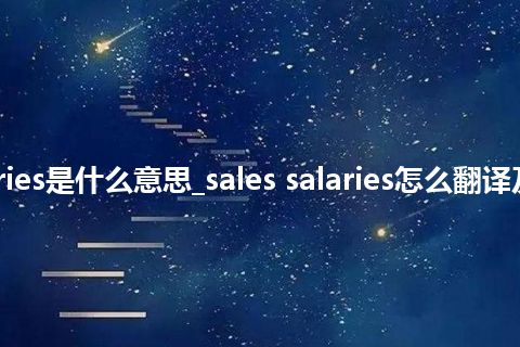 sales salaries是什么意思_sales salaries怎么翻译及发音_用法