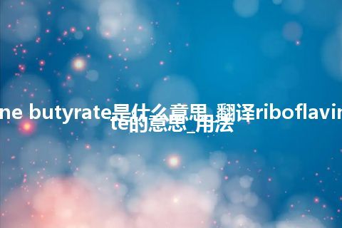 riboflavine butyrate是什么意思_翻译riboflavine butyrate的意思_用法