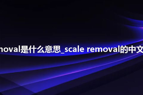 scale removal是什么意思_scale removal的中文解释_用法