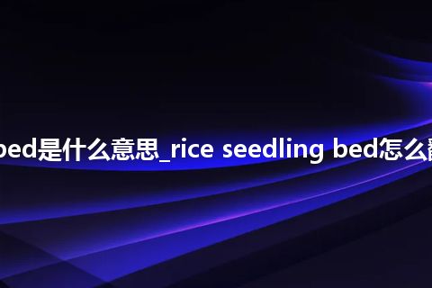 rice seedling bed是什么意思_rice seedling bed怎么翻译及发音_用法