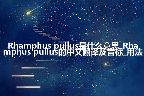Rhamphus pullus是什么意思_Rhamphus pullus的中文翻译及音标_用法