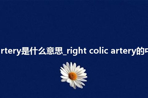 right colic artery是什么意思_right colic artery的中文释义_用法