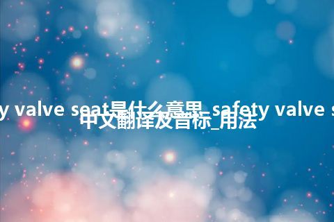 safety valve seat是什么意思_safety valve seat的中文翻译及音标_用法