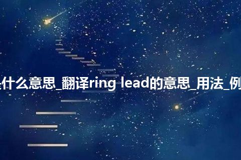 ring lead是什么意思_翻译ring lead的意思_用法_例句_英语短语