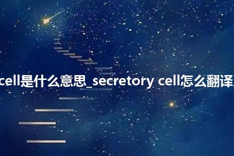 secretory cell是什么意思_secretory cell怎么翻译及发音_用法