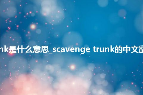 scavenge trunk是什么意思_scavenge trunk的中文翻译及音标_用法