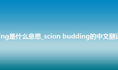 scion budding是什么意思_scion budding的中文翻译及用法_用法