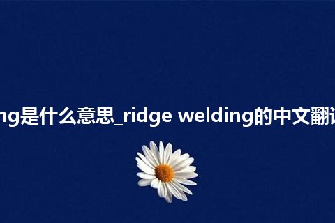 ridge welding是什么意思_ridge welding的中文翻译及用法_用法