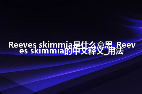 Reeves skimmia是什么意思_Reeves skimmia的中文释义_用法