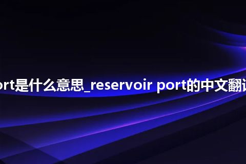 reservoir port是什么意思_reservoir port的中文翻译及用法_用法