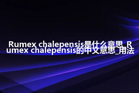 Rumex chalepensis是什么意思_Rumex chalepensis的中文意思_用法