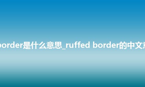 ruffed border是什么意思_ruffed border的中文意思_用法