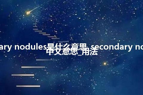 secondary nodules是什么意思_secondary nodules的中文意思_用法