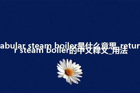 return tabular steam boiler是什么意思_return tabular steam boiler的中文释义_用法