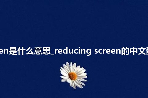 reducing screen是什么意思_reducing screen的中文翻译及音标_用法