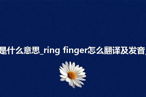 ring finger是什么意思_ring finger怎么翻译及发音_用法_同义词