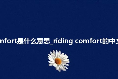 riding comfort是什么意思_riding comfort的中文解释_用法