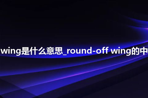 round-off wing是什么意思_round-off wing的中文释义_用法