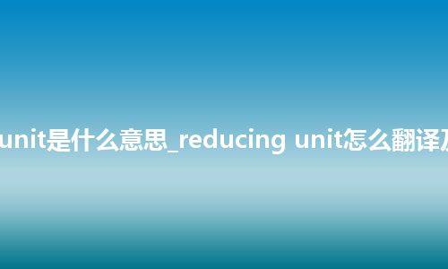 reducing unit是什么意思_reducing unit怎么翻译及发音_用法
