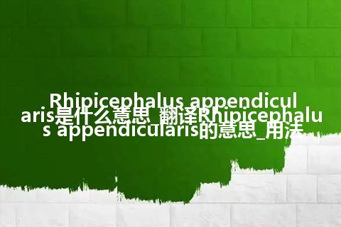 Rhipicephalus appendicularis是什么意思_翻译Rhipicephalus appendicularis的意思_用法